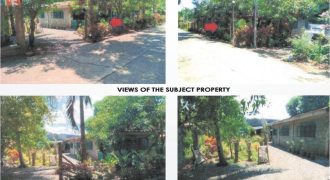 Foreclosed Property in Alicia, Isabela (PDIC)