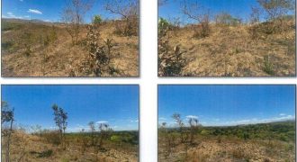 Foreclosed Agricultural Lot in Bugallon, Pangasinan (PDIC)