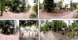 Foreclosed Property in Alicia, Isabela · Lot No. 2904-C-4 (PDIC)