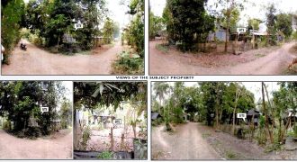 Foreclosed Property in Alicia, Isabela · Lot No. 2904-C-4 (PDIC)