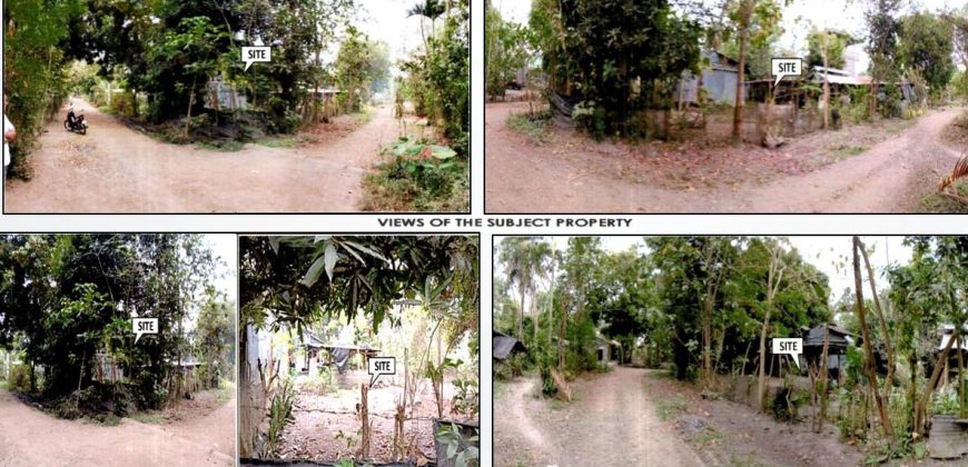 Foreclosed Property in Alicia, Isabela · Lot No. 2904-C-4 (PDIC)