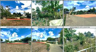 Foreclosed Property in Angadanan, Isabela · Lot 736 (PDIC)