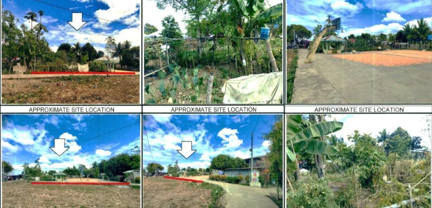 Foreclosed Property in Angadanan, Isabela · Lot 736 (PDIC)
