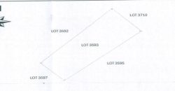 Foreclosed Agricultural Lot in Batan, Aklan (PDIC)