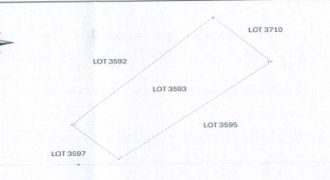 Foreclosed Agricultural Lot in Batan, Aklan (PDIC)