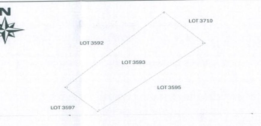 Foreclosed Agricultural Lot in Batan, Aklan (PDIC)