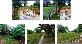 Foreclosed Property in Mabini, Pangasinan (PDIC)