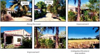 Foreclosed Property in City Of Alaminos City, Pangasinan · Lot No. 8512 (PDIC)