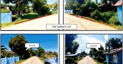 Foreclosed Property in City Of Alaminos City, Pangasinan · Lot 2211 (PDIC)