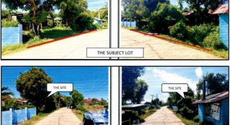 Foreclosed Property in City Of Alaminos City, Pangasinan · Lot 2211 (PDIC)