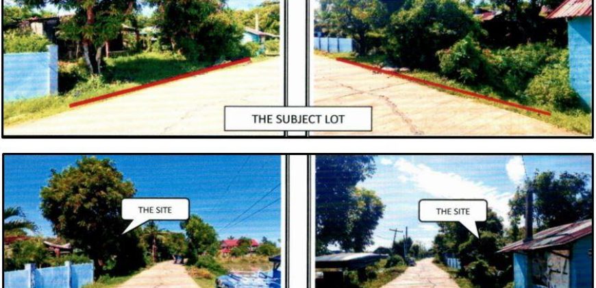 Foreclosed Property in City Of Alaminos City, Pangasinan · Lot 2211 (PDIC)