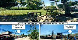 Foreclosed Residential Lot in Mallig, Isabela (PDIC)