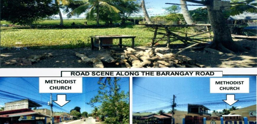 Foreclosed Residential Lot in Mallig, Isabela (PDIC)