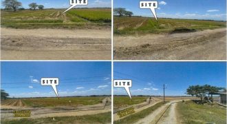 Foreclosed Residential Lot in Basista, Pangasinan (PDIC)