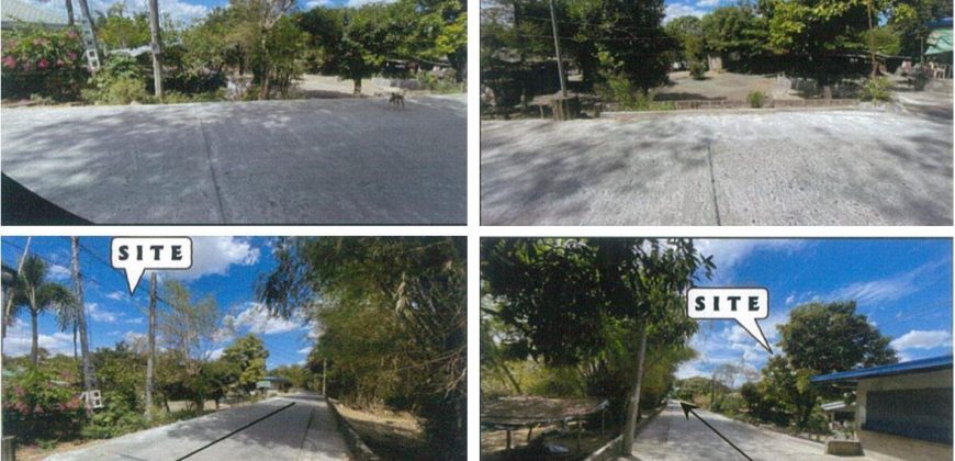 Foreclosed Property in Mangatarem, Pangasinan (PDIC)