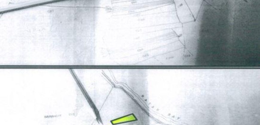 Foreclosed Residential Lot in Batan, Aklan (PDIC)