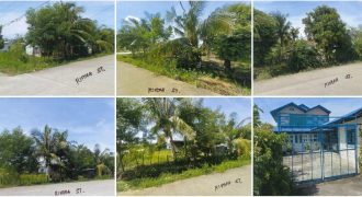 Foreclosed Property in Llanera, Nueva Ecija · Lot No. 5 Block 32 (PDIC)