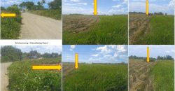 Foreclosed Agricultural Lot in Cabanatuan City, Nueva Ecija (PDIC)