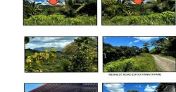 Foreclosed Agricultural Lot in Banga, Aklan (PDIC)