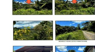 Foreclosed Agricultural Lot in Banga, Aklan, Visayas