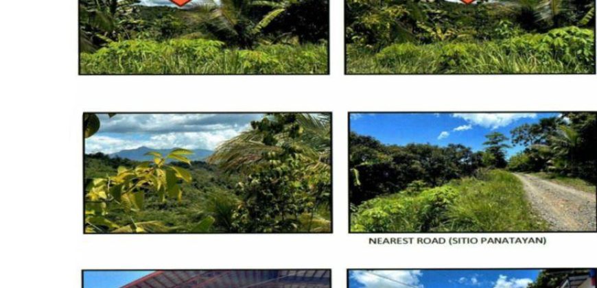 Foreclosed Agricultural Lot in Banga, Aklan (PDIC)