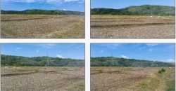 Foreclosed Agricultural Lot in San Juan, Metro Manila (PDIC)