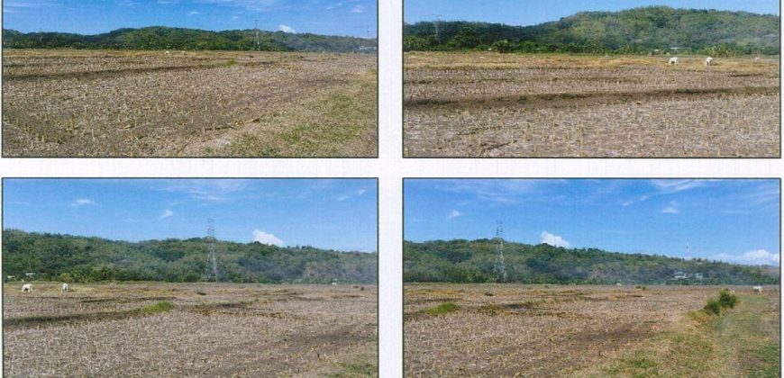 Foreclosed Agricultural Lot in San Juan, Metro Manila (PDIC)