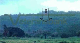 Foreclosed Agricultural Lot in Calintaan, Occidental Mindoro · Lot 1463 (Philippine Veterans Bank)