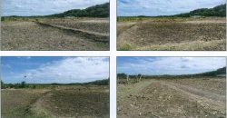 Foreclosed Agricultural Lot in San Juan, Metro Manila · Lot No. 3462 (PDIC)