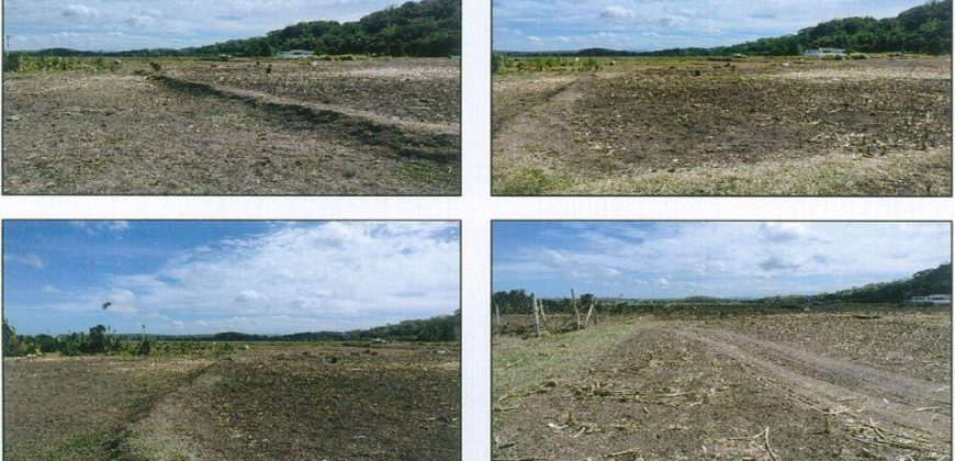 Foreclosed Agricultural Lot in San Juan, Metro Manila · Lot No. 3462 (PDIC)