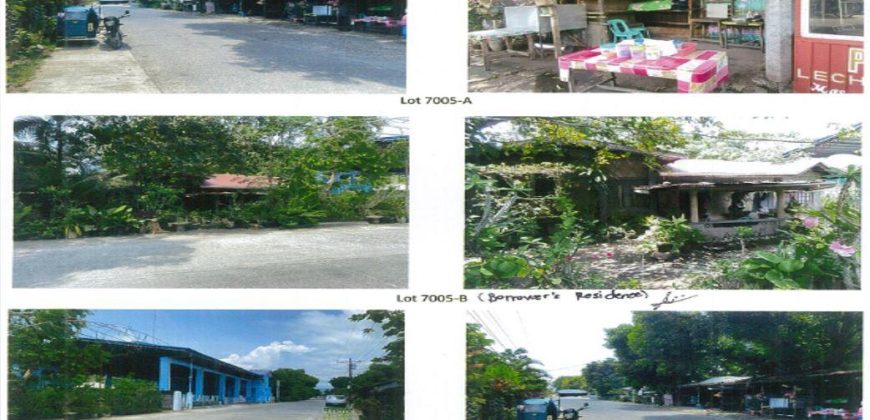 Foreclosed Residential Lot in Balaoan, La Union (PDIC)