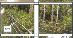 Foreclosed Property in Libertad, Antique (PDIC)