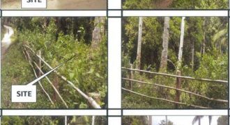 Foreclosed Property in Libertad, Antique (PDIC)