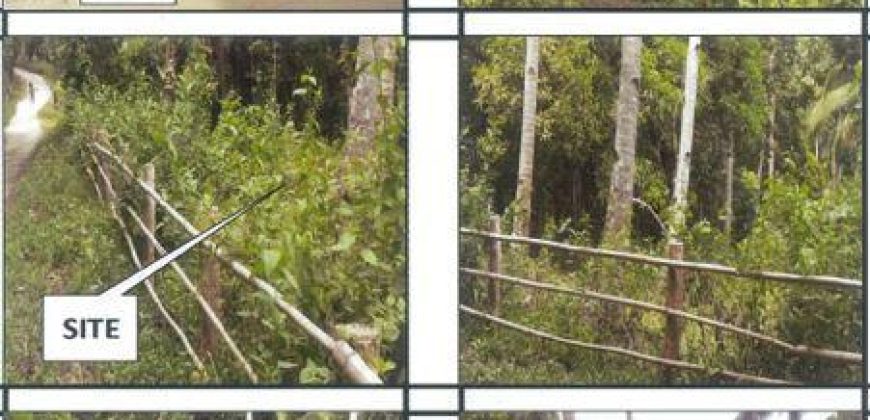 Foreclosed Property in Libertad, Antique (PDIC)