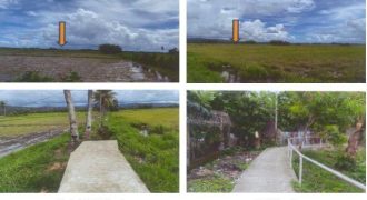 Foreclosed Agricultural Lot in Bugasong, Antique (PDIC)