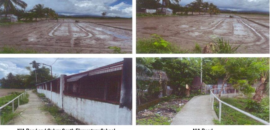 Foreclosed Agricultural Lot in Bugasong, Antique · Lot No. 2666 (PDIC)