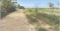Foreclosed Agricultural Lot in Echague, Isabela · Lot 2489-A-2 (PDIC)