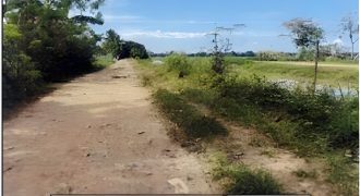 Foreclosed Agricultural Lot in Echague, Isabela