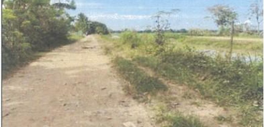 Foreclosed Agricultural Lot in Echague, Isabela · Lot 2489-A-2 (PDIC)