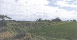 Foreclosed Agricultural Lot in Echague, Isabela · Lot 1631-A (PDIC)