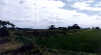 Foreclosed Agricultural Lot in Echague, Isabela
