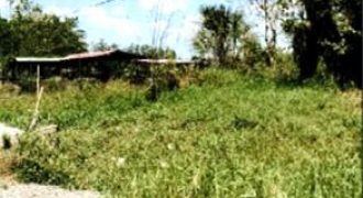Foreclosed Residential Lot in City Of Cauayan City, Isabela · Lot C-4-R (PDIC)