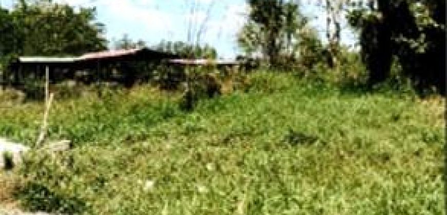Foreclosed Residential Lot in City Of Cauayan City, Isabela · Lot C-4-R (PDIC)