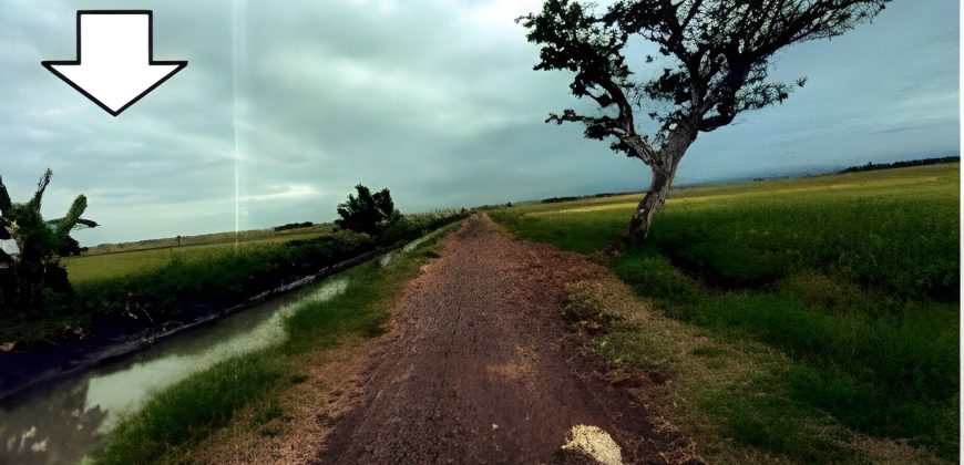Foreclosed Agricultural Lot in San Manuel, Isabela