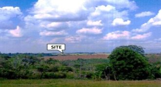 Foreclosed Agricultural Lot in City Of Cauayan City, Isabela (PDIC)