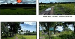 Foreclosed Agricultural Lot in Libacao, Aklan · Lot No. 154 (PDIC)