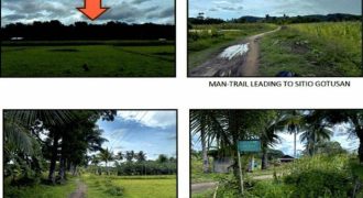 Foreclosed Agricultural Lot in Libacao, Aklan · Lot No. 154 (PDIC)