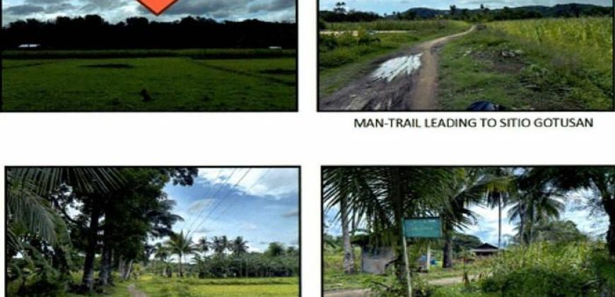 Foreclosed Agricultural Lot in Libacao, Aklan · Lot No. 154 (PDIC)