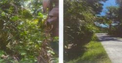 Foreclosed Agricultural Lot in Numancia, Aklan, Visayas