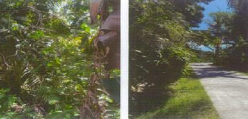 Foreclosed Agricultural Lot in Numancia, Aklan, Visayas